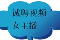 ӦƸƵŮ