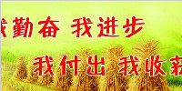 Ů
